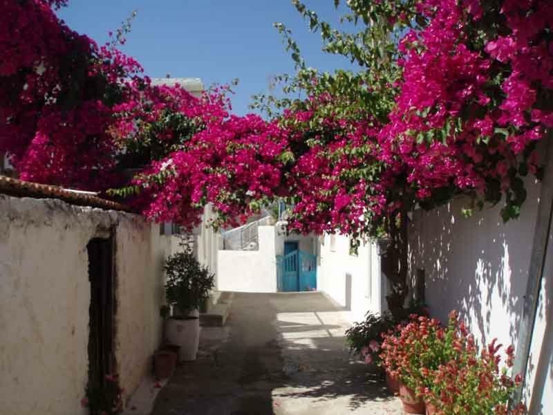 Tourloti Village House Экстерьер фото